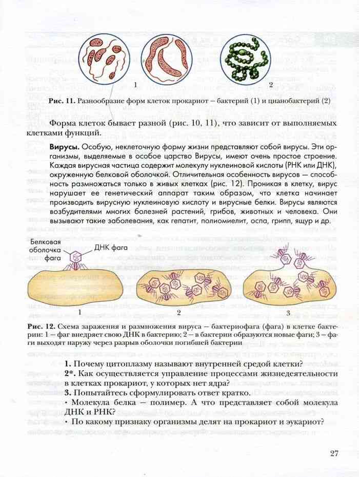 Презентация популяции 9 класс пономарева